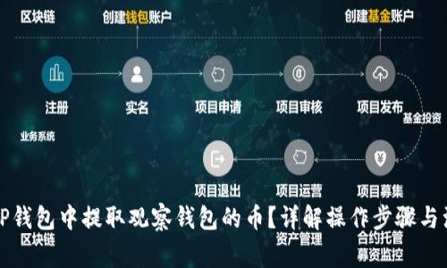 如何在TP钱包中提取观察钱包的币？详解操作步骤与注意事项