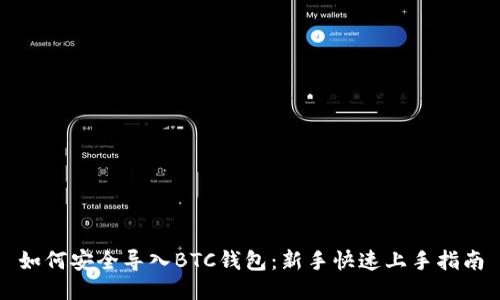 如何安全导入BTC钱包：新手快速上手指南