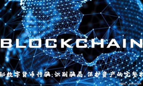 揭秘数字货币行骗：识别骗局，保护资产的完整指南