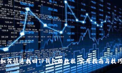 如何快速找回TP钱包的数据：实用指南与技巧