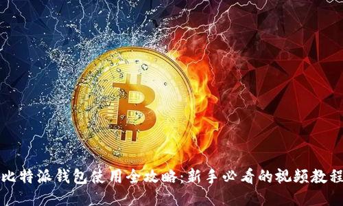 比特派钱包使用全攻略：新手必看的视频教程