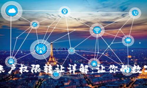 TP钱包法币账户权限转让详解：让你的数字资产更灵活