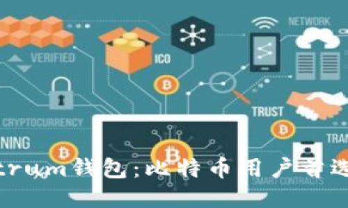 深入探索Electrum钱包：比特币用户首选的安全与便利