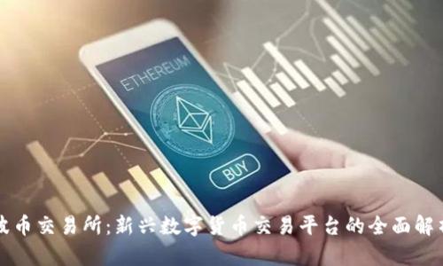 波币交易所：新兴数字货币交易平台的全面解析