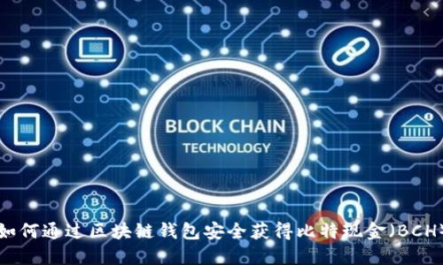 如何通过区块链钱包安全获得比特现金（BCH）