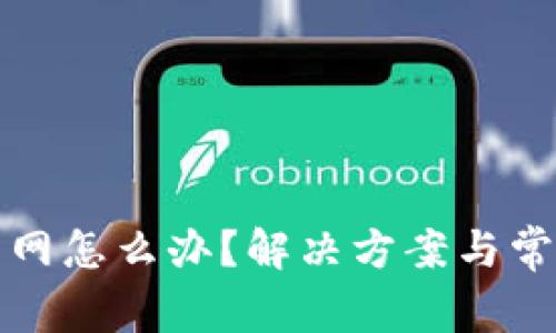 TP钱包没有网怎么办？解决方案与常见问题解答