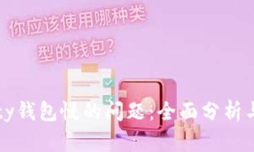 解决Parity钱包慢的问题：全面分析与解决方案