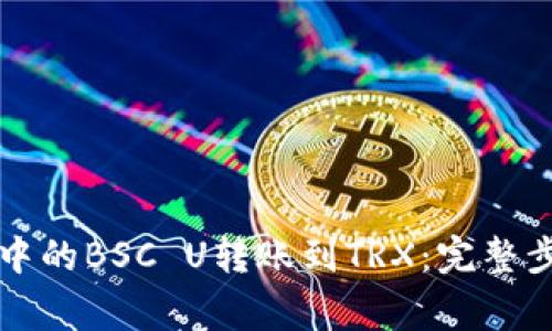 如何将TP钱包中的BSC U转账到TRX：完整步骤与注意事项