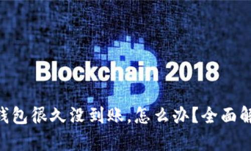 提币到Bitpip钱包很久没到账，怎么办？全面解析与解决方案