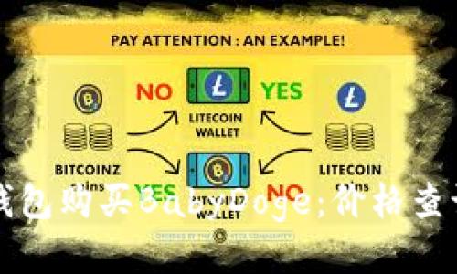 如何通过TP钱包购买BabyDoge：价格查询与交易指南