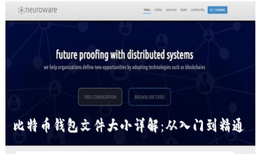 比特币钱包文件大小详解：从入门到精通
