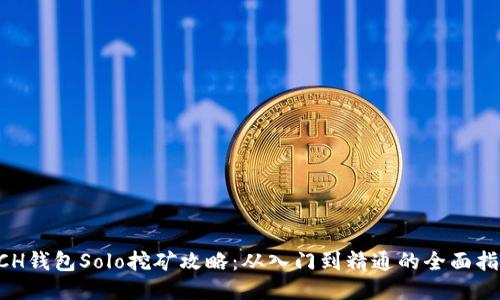 BCH钱包Solo挖矿攻略：从入门到精通的全面指南