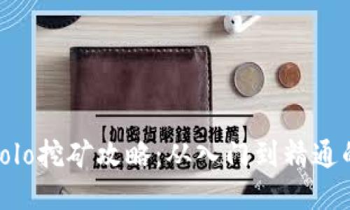 BCH钱包Solo挖矿攻略：从入门到精通的全面指南