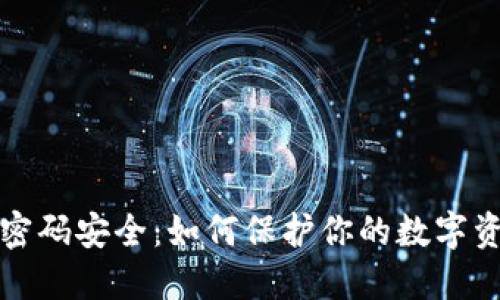 比特币钱包密码安全：如何保护你的数字资产不受侵害